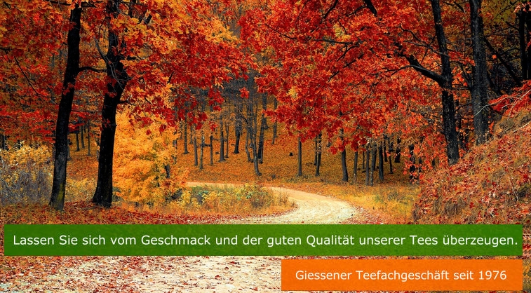 Frühling Sommer Herbst Winter Teehaus Giessen