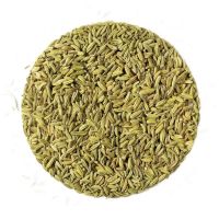 Fenchel  -  Kräutertee